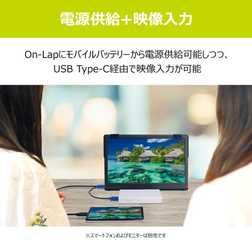 Type-C Video+Type-A Power Cable