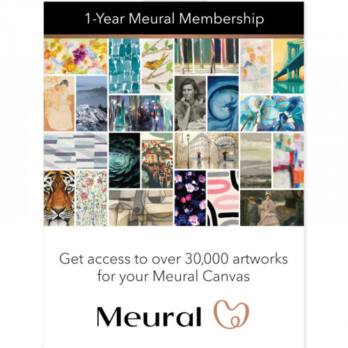 Meural メンバーシップ1年間