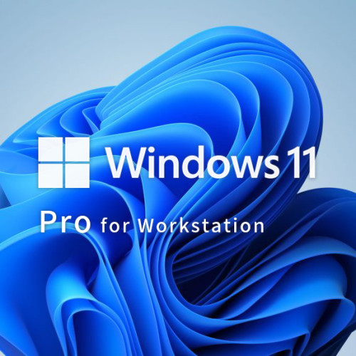 Win11 Pro Wrkstns 64bit 1p DVD